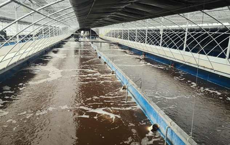 畜禽污水處理的方法、步驟（主流畜禽污水處理工藝有哪些）